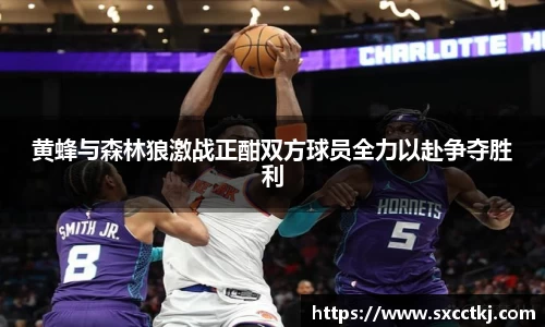 黄蜂与森林狼激战正酣双方球员全力以赴争夺胜利